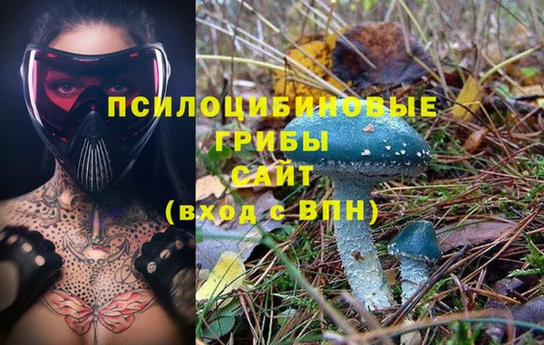 хмурый Балахна