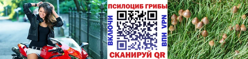 Псилоцибиновые грибы мухоморы  Купить  Мышкин 
